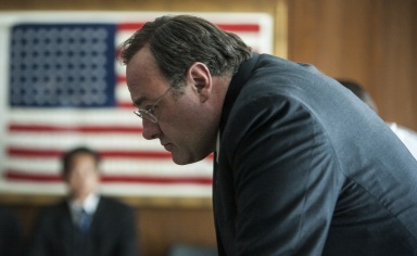 gandolfini zero dark thirty